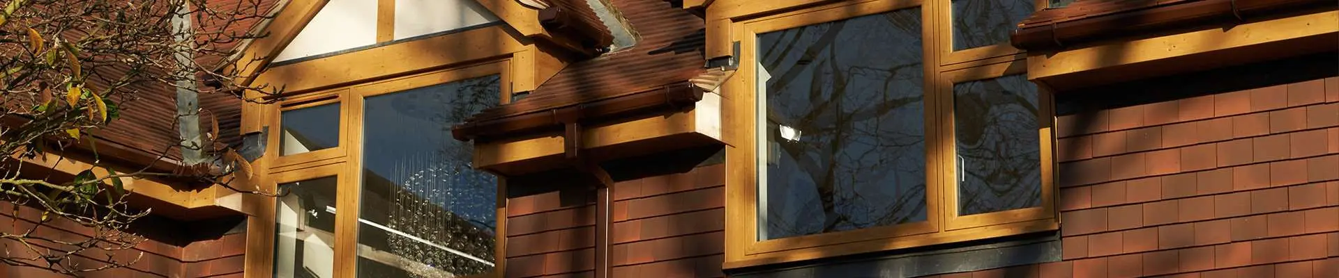 Traditional Windows
